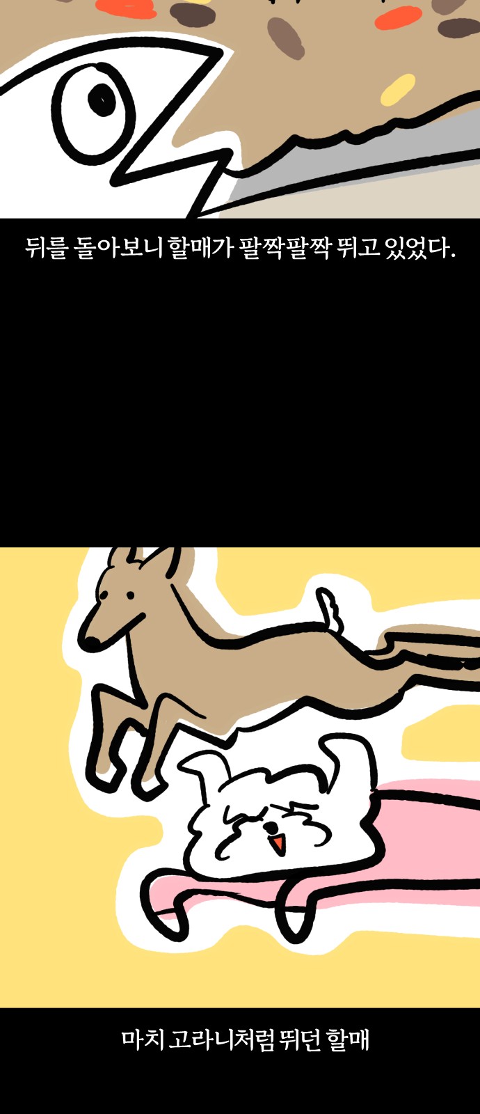 11 페이지