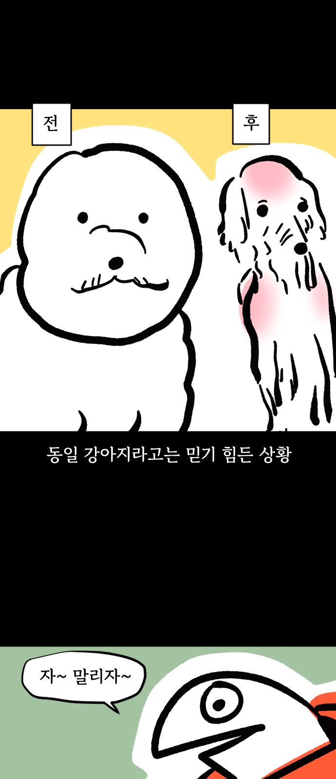 15 페이지
