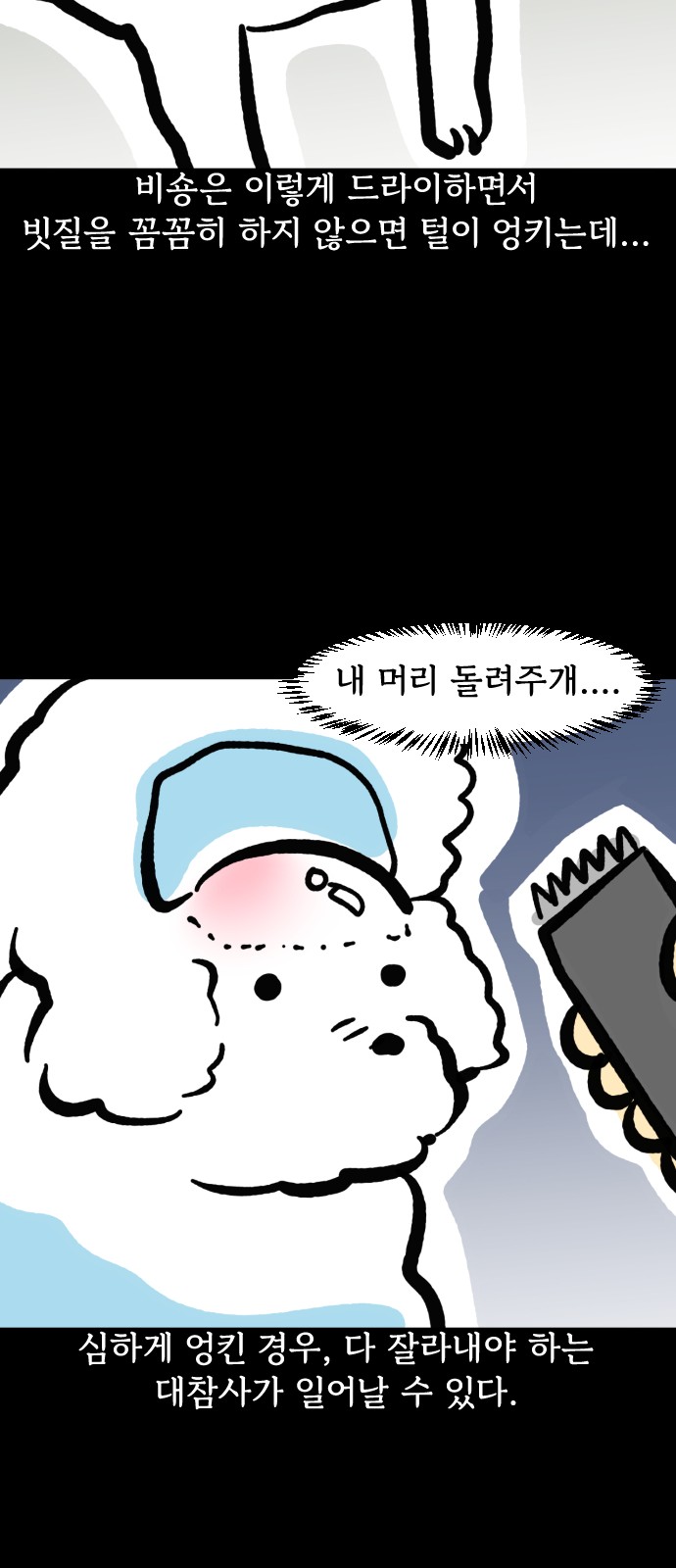 19 페이지