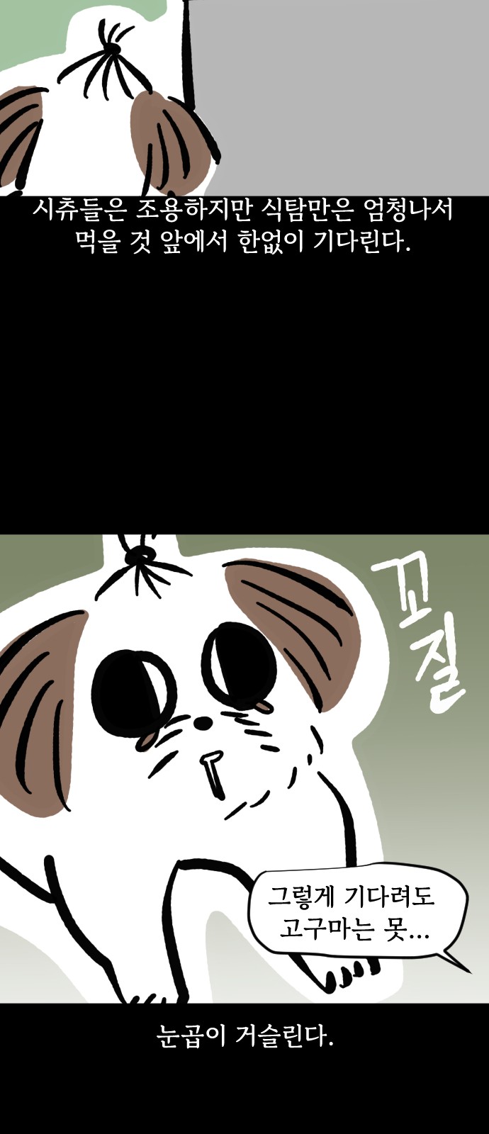 11 페이지