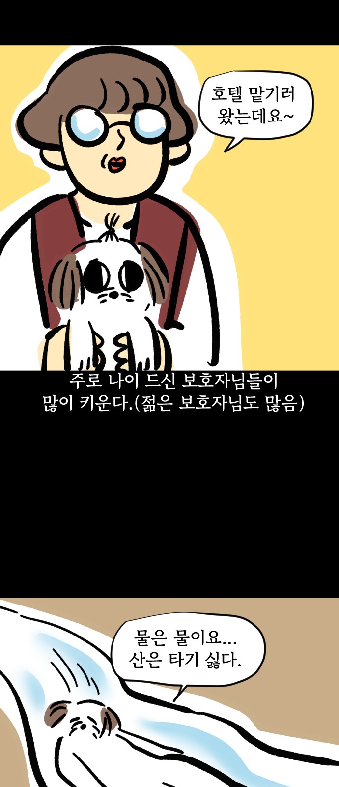 5 페이지