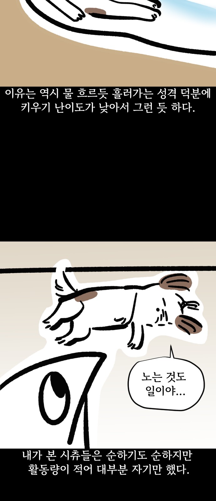 6 페이지