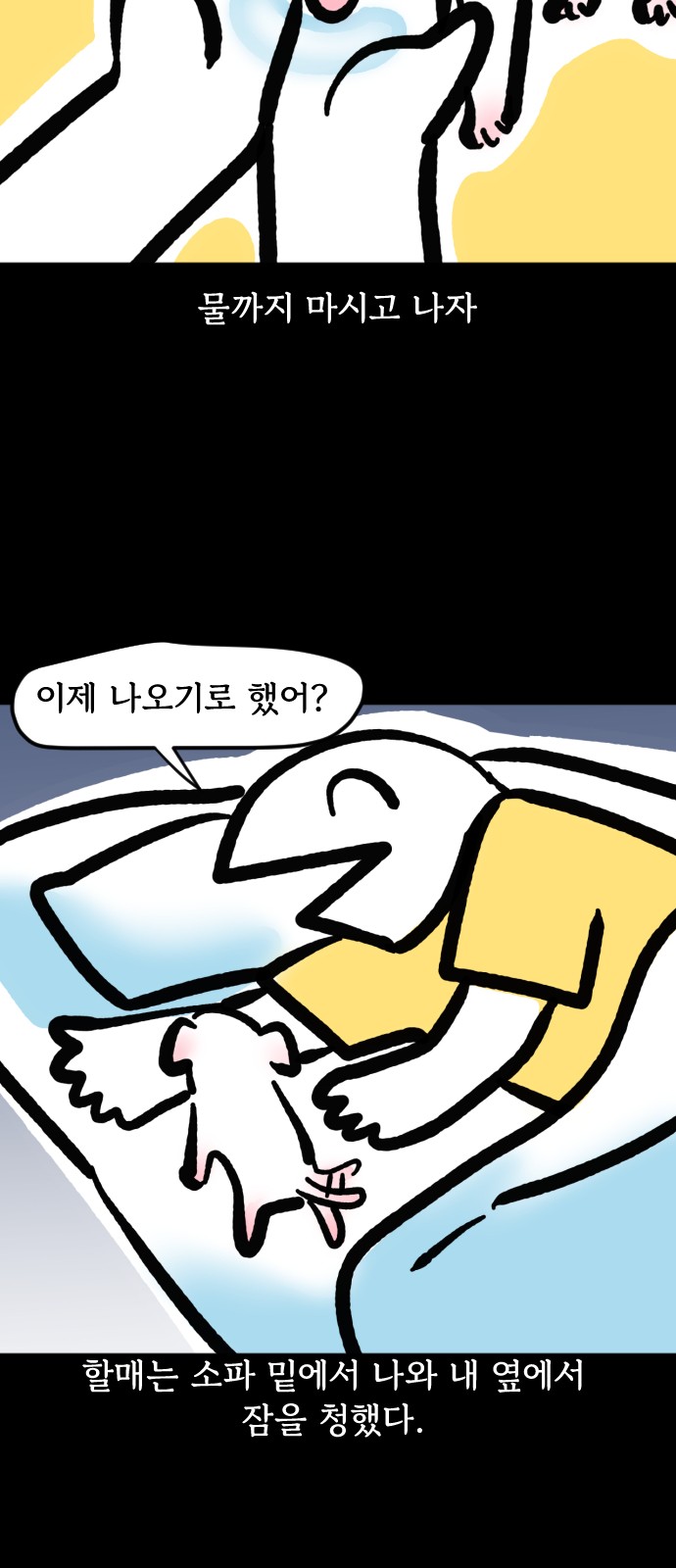 11 페이지