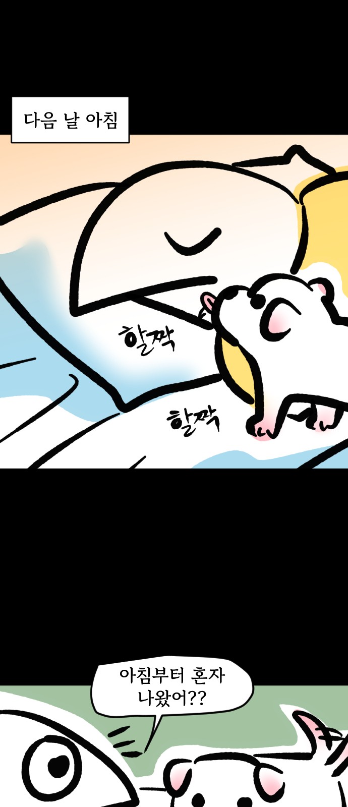 12 페이지
