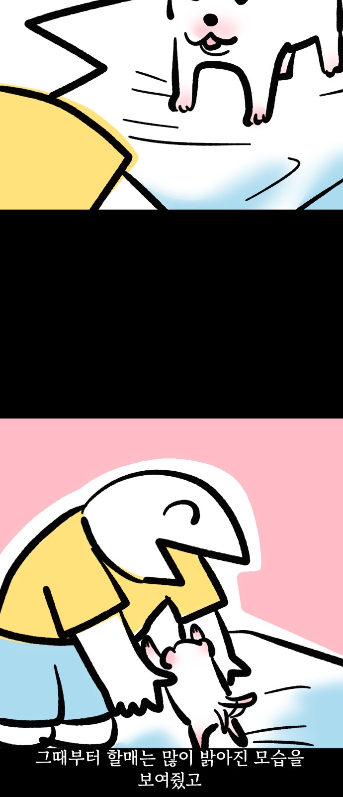 13 페이지