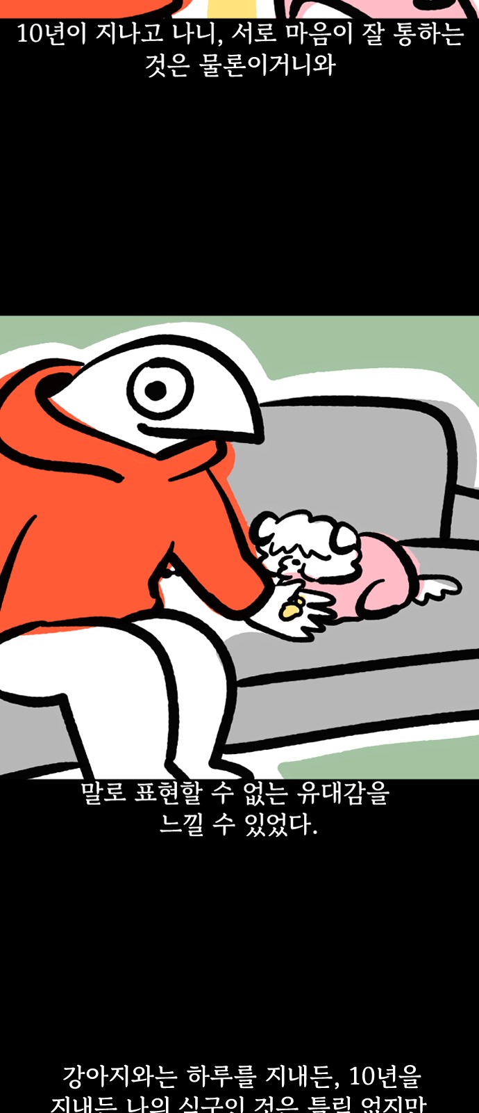 16 페이지