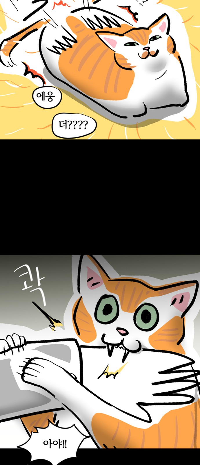 16 페이지