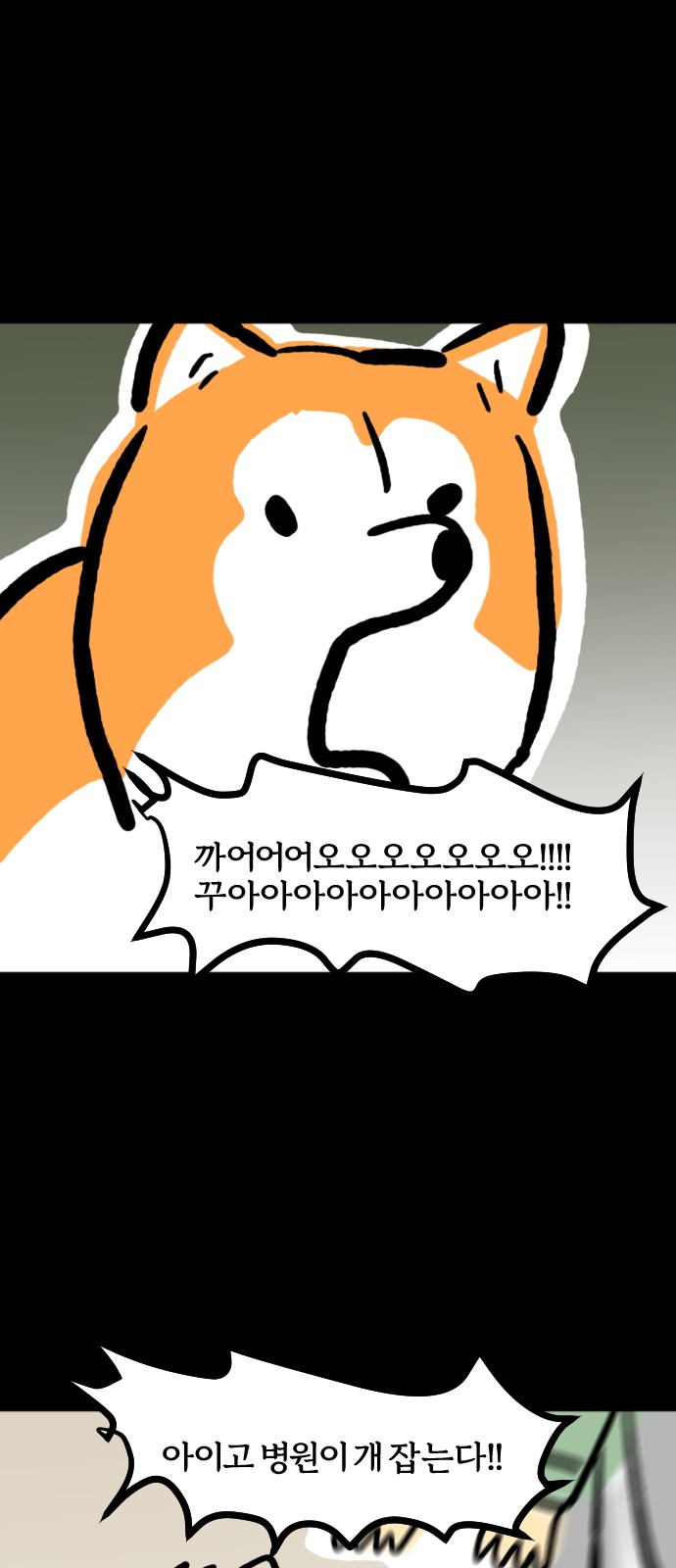 11 페이지