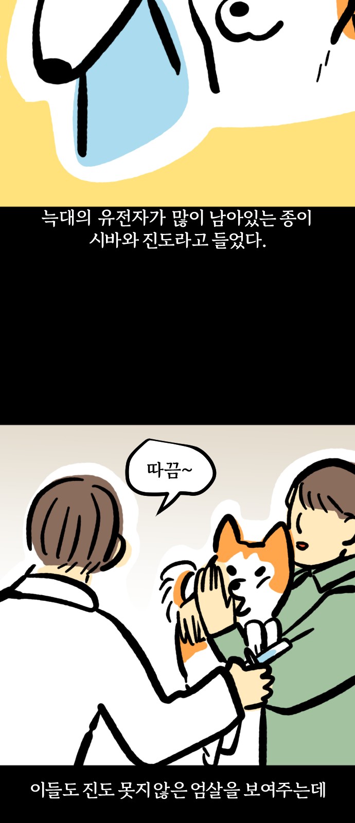 10 페이지