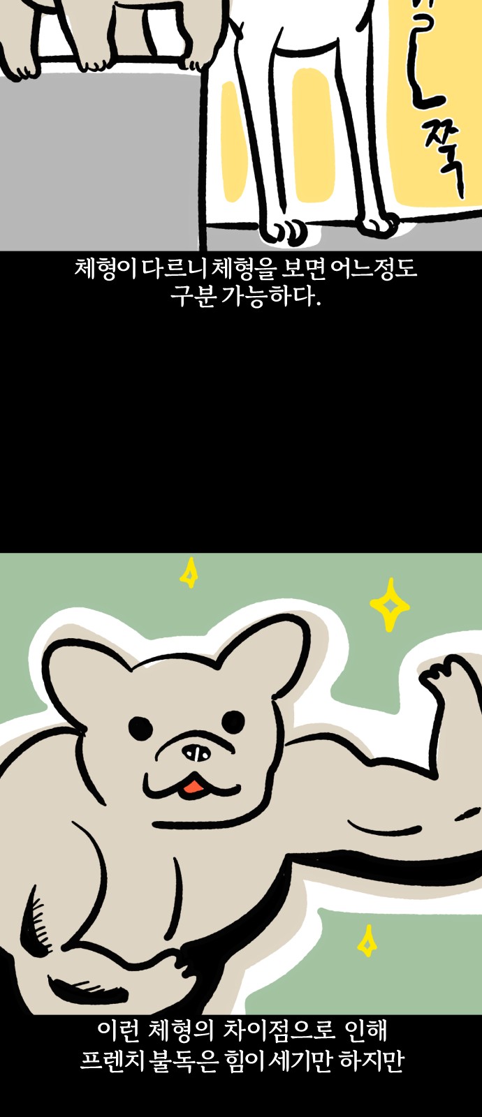 11 페이지