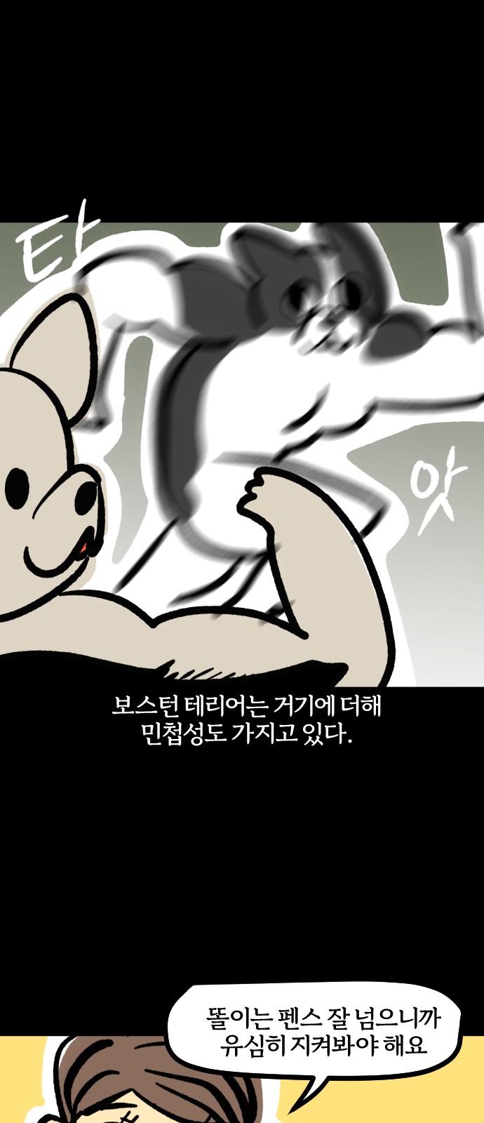 12 페이지