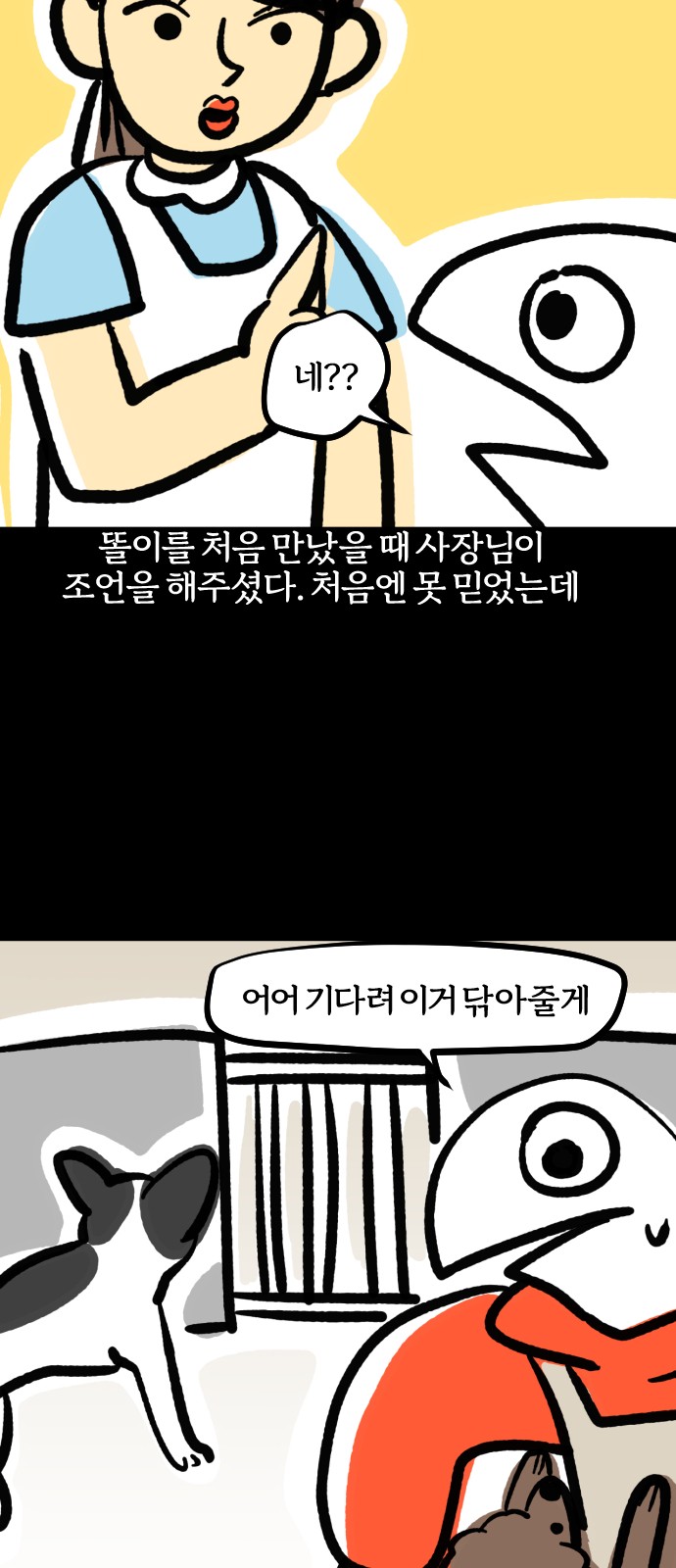 13 페이지