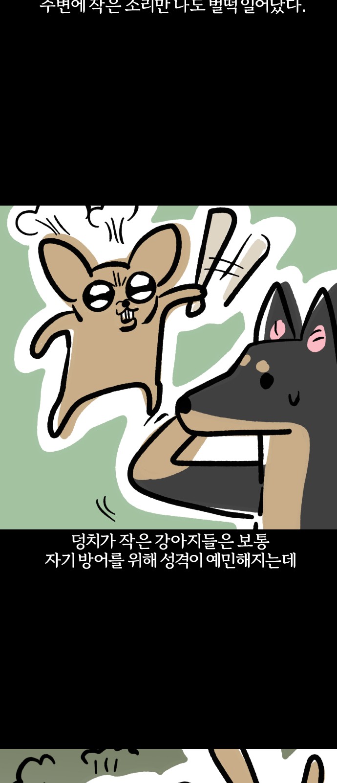 11 페이지