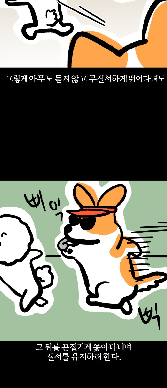 11 페이지