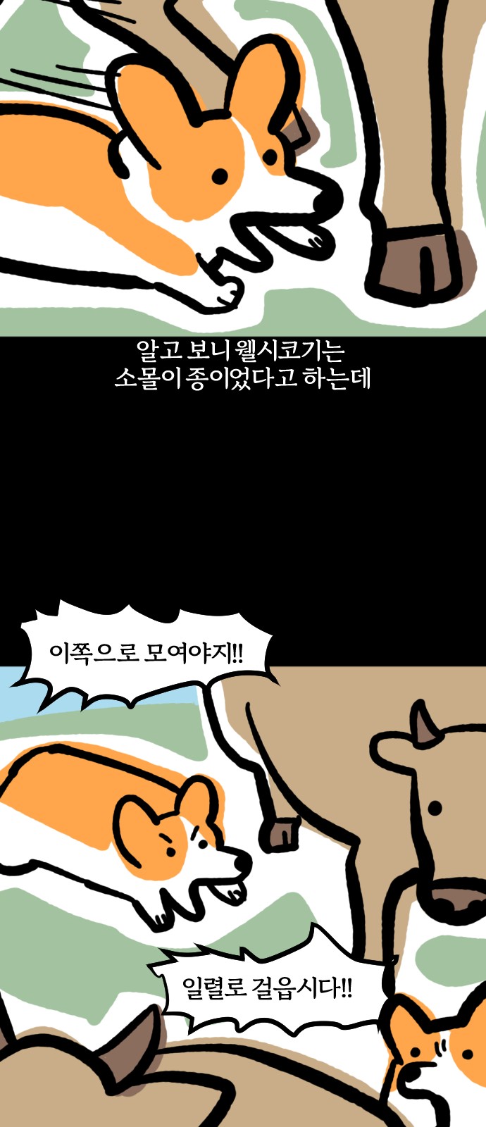 13 페이지