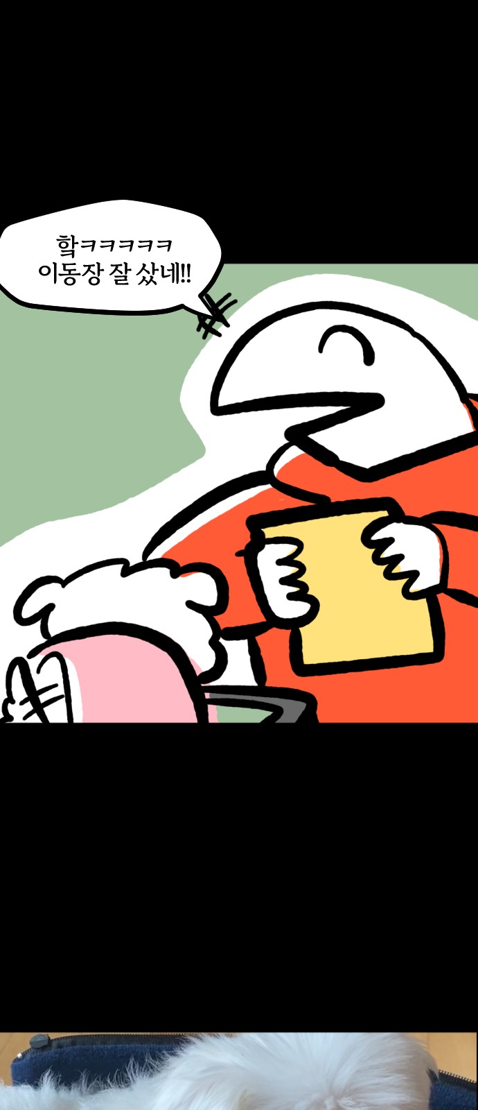 19 페이지