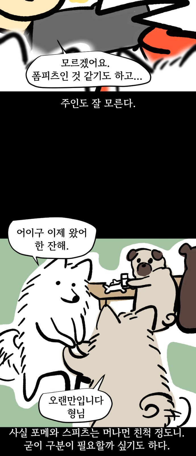 11 페이지