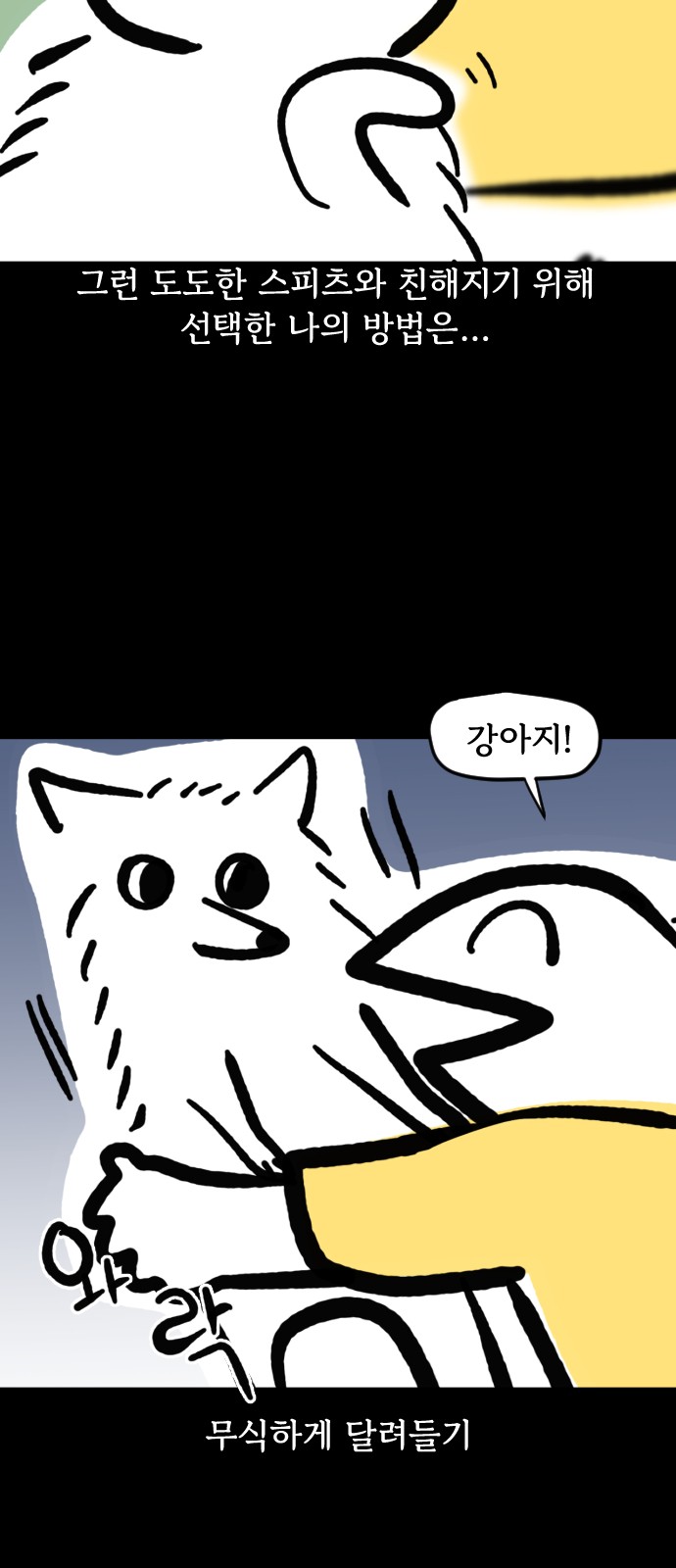 16 페이지