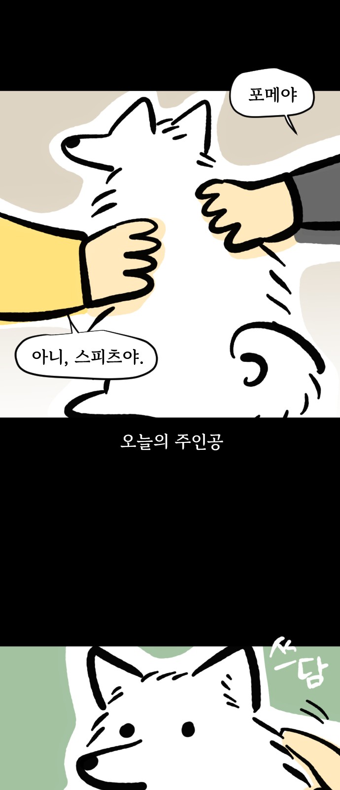 5 페이지