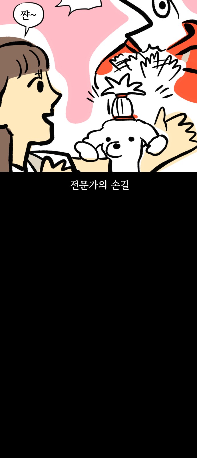 19 페이지