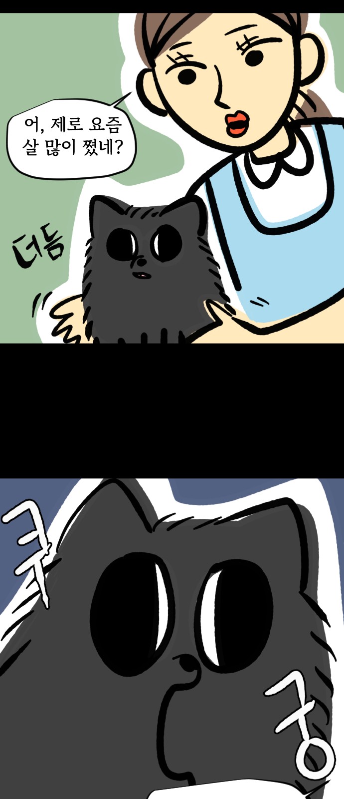 13 페이지