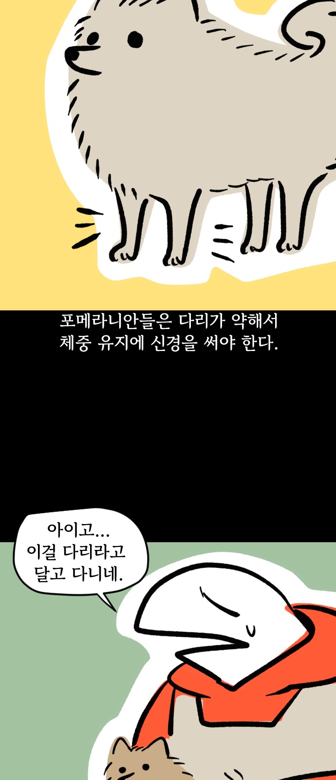 15 페이지