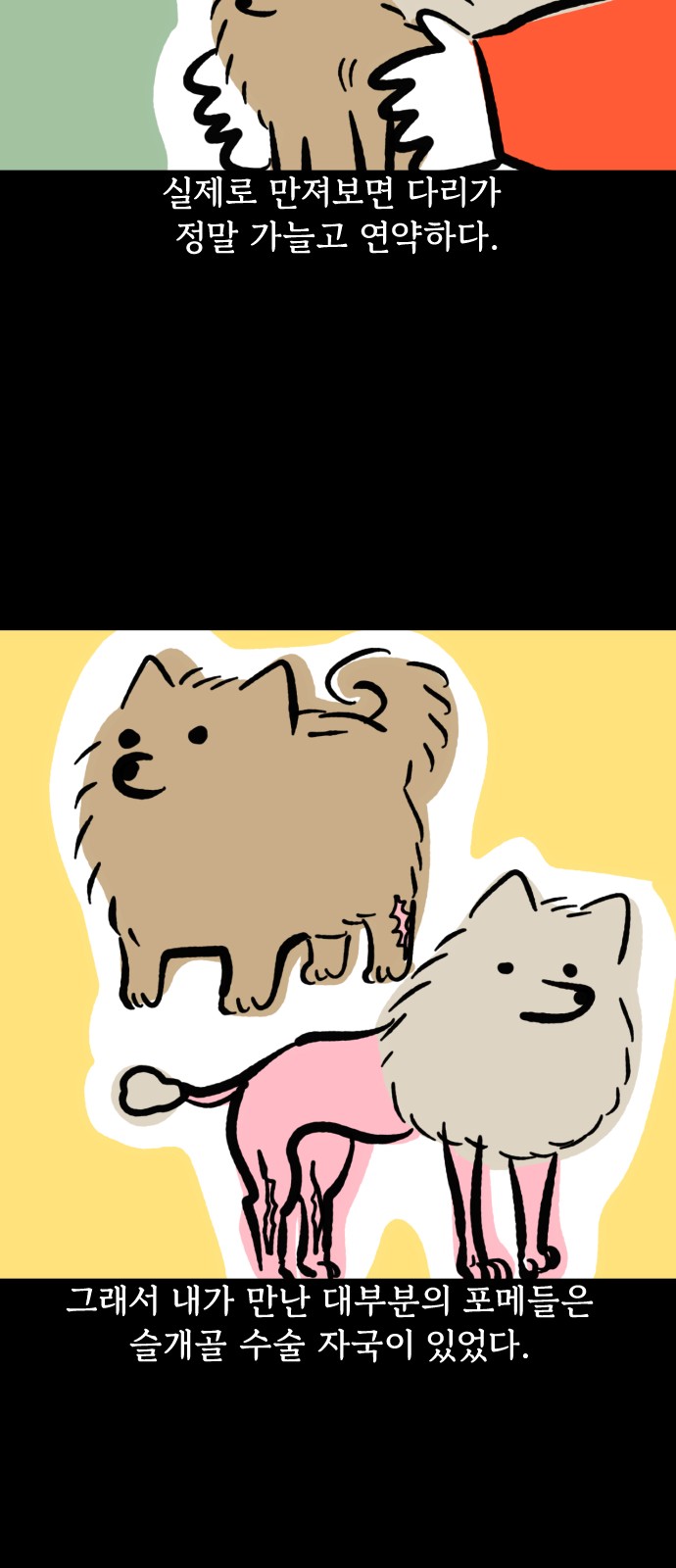 16 페이지