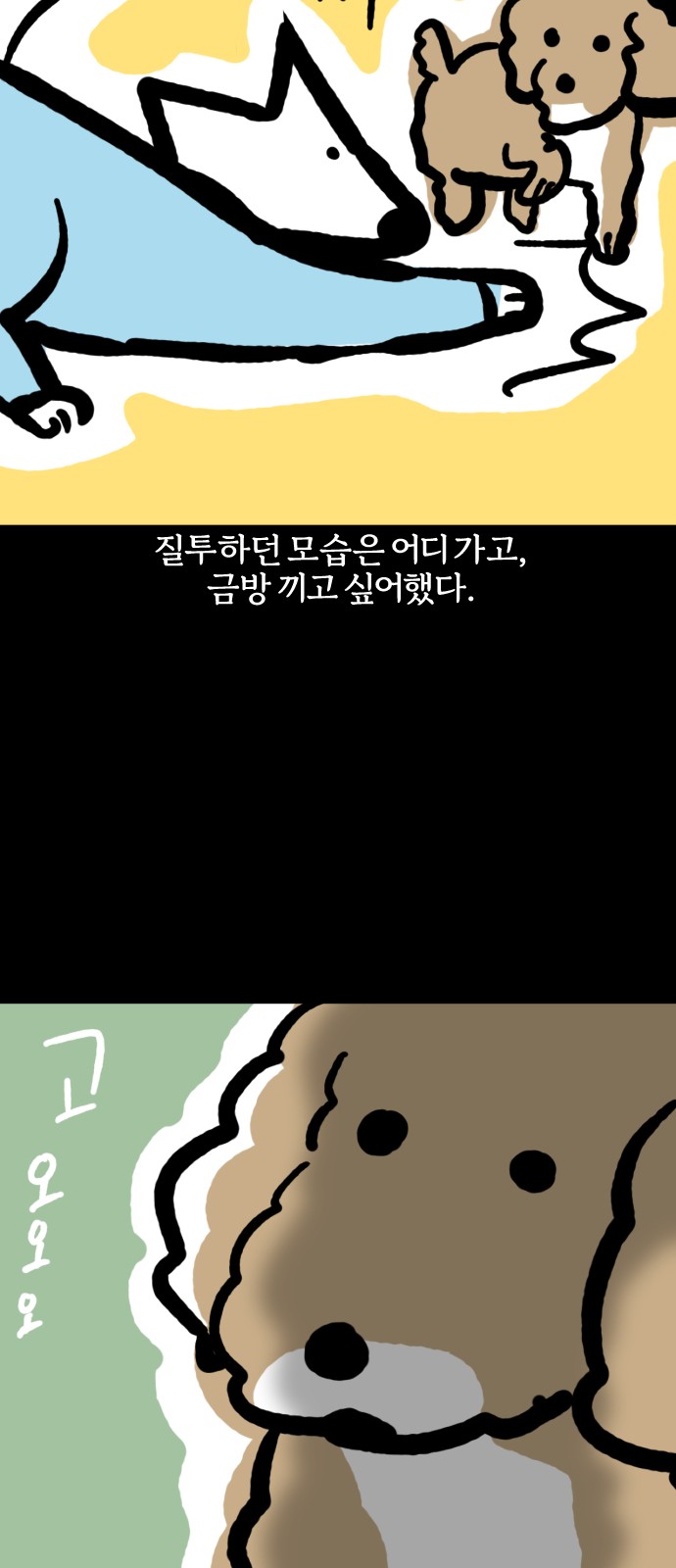 17 페이지