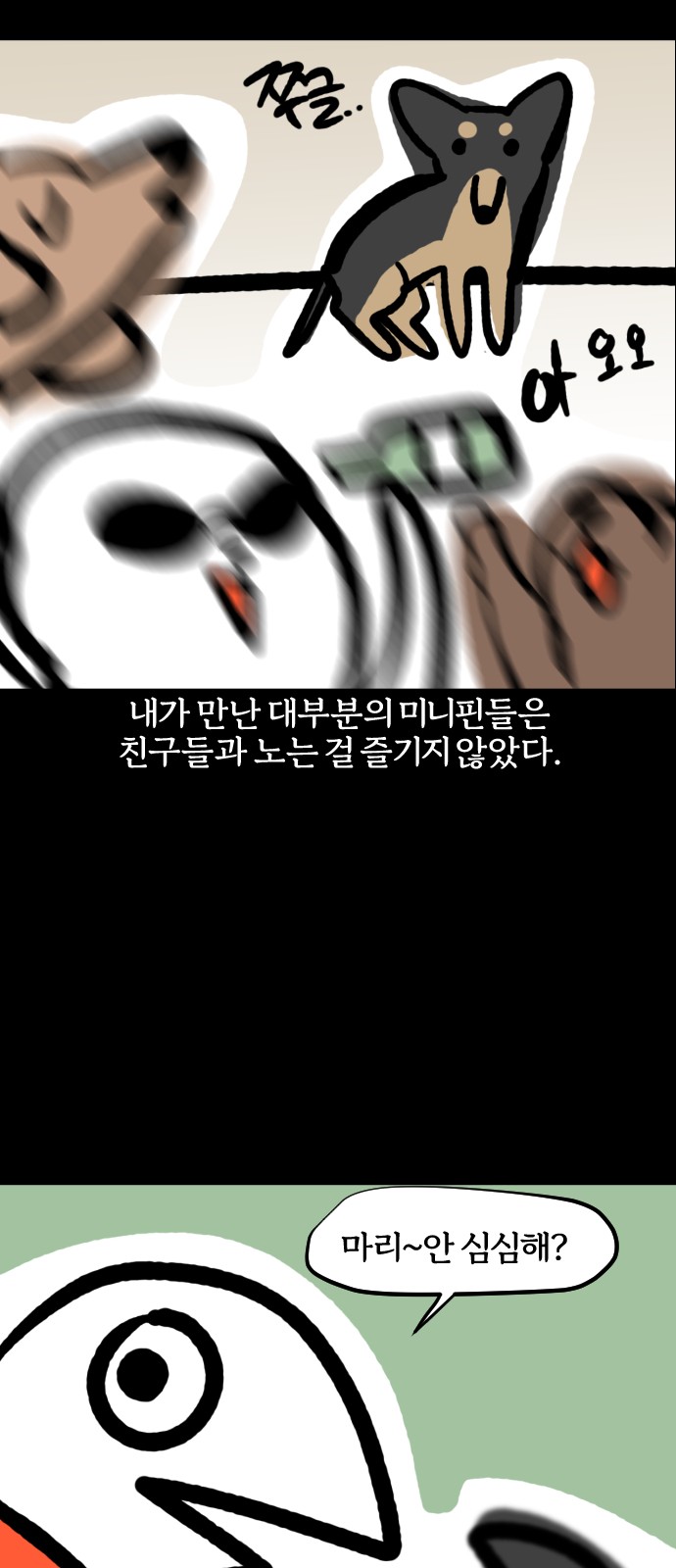 13 페이지