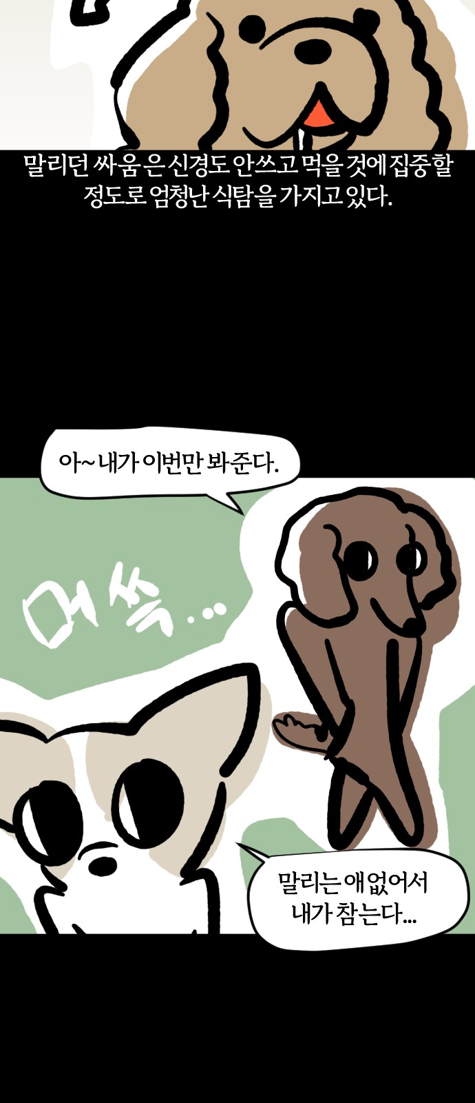 11 페이지
