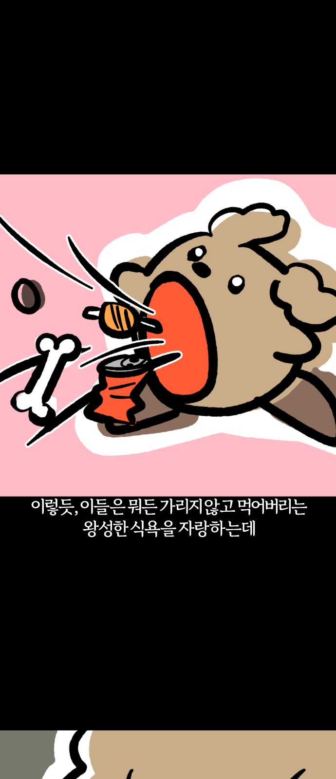14 페이지