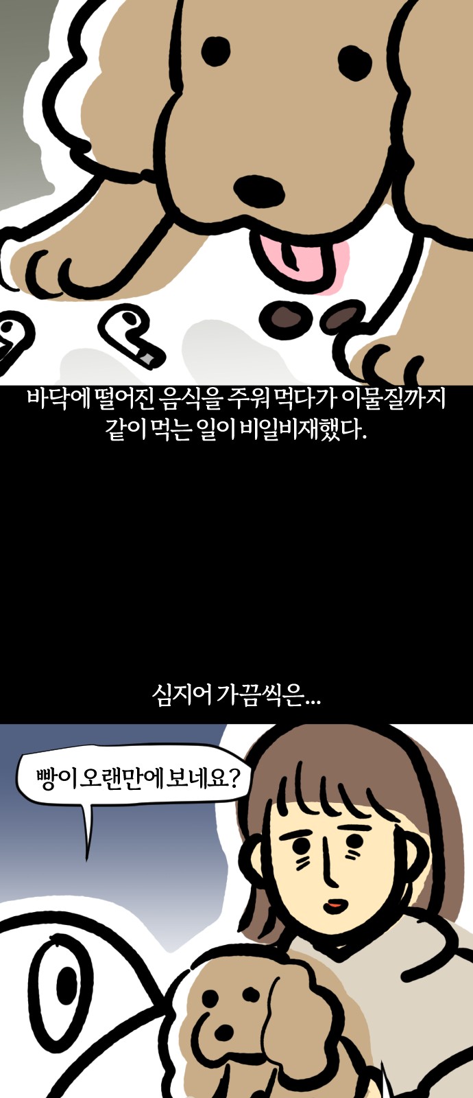 15 페이지