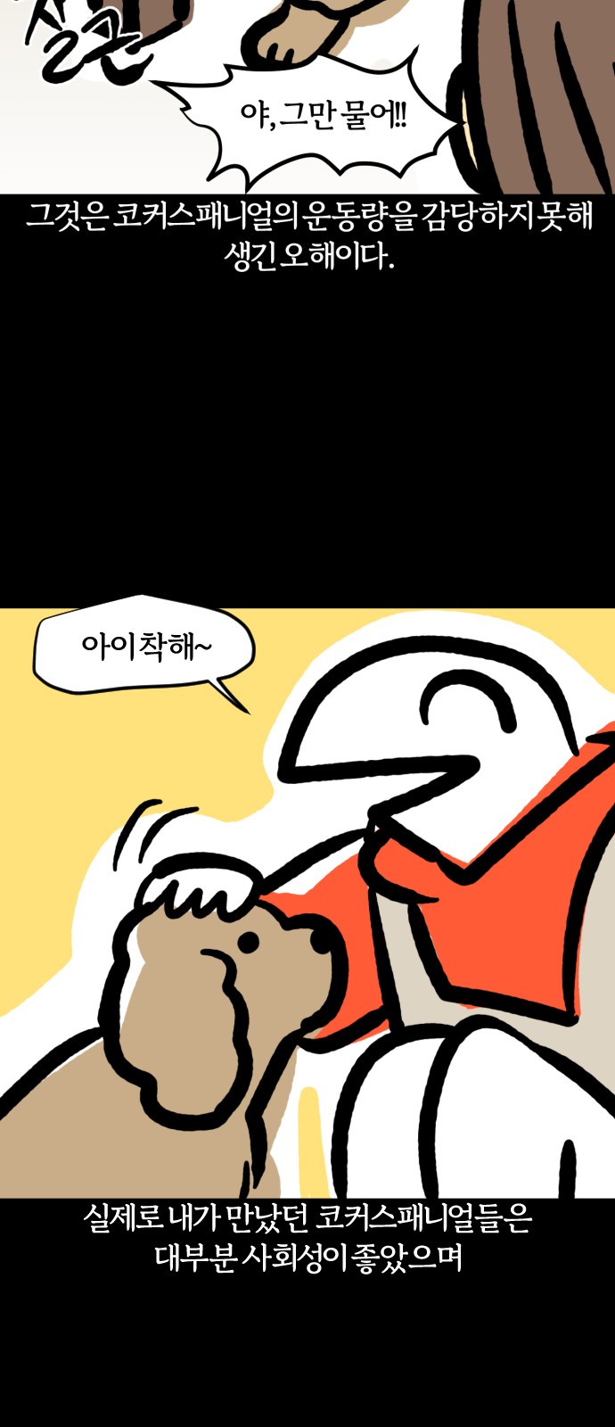 6 페이지