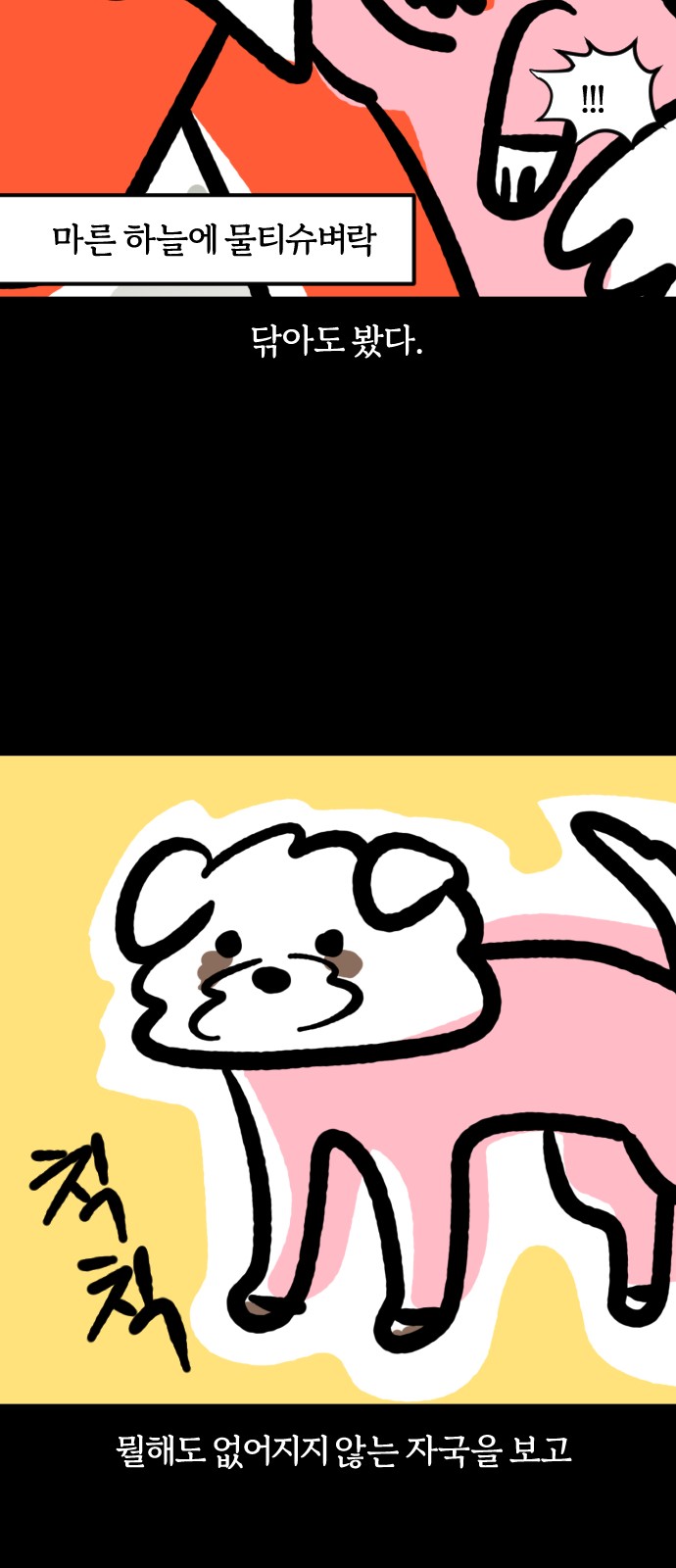 11 페이지