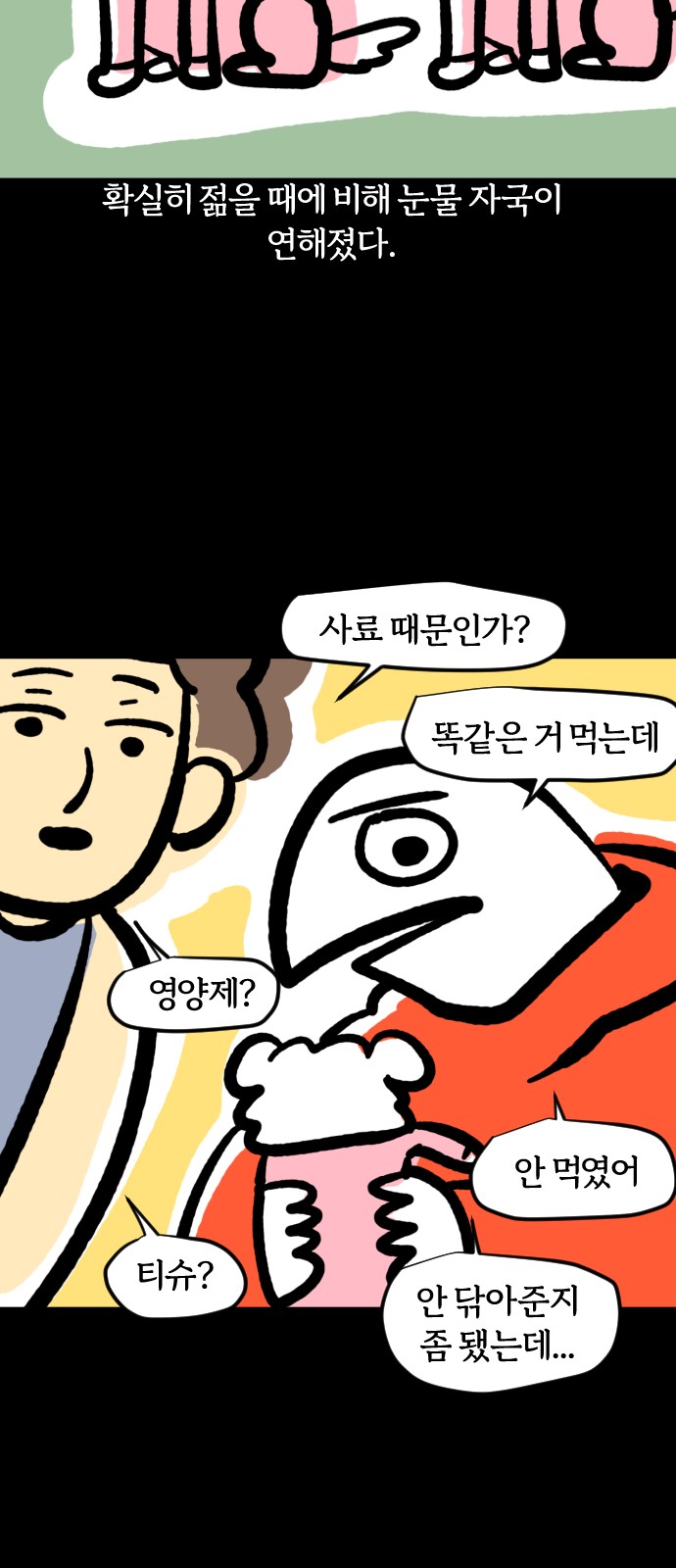16 페이지