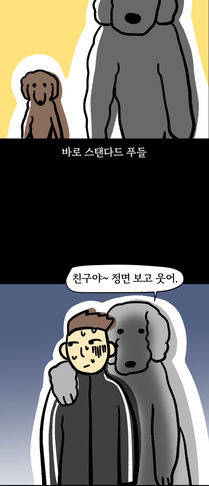 12 페이지