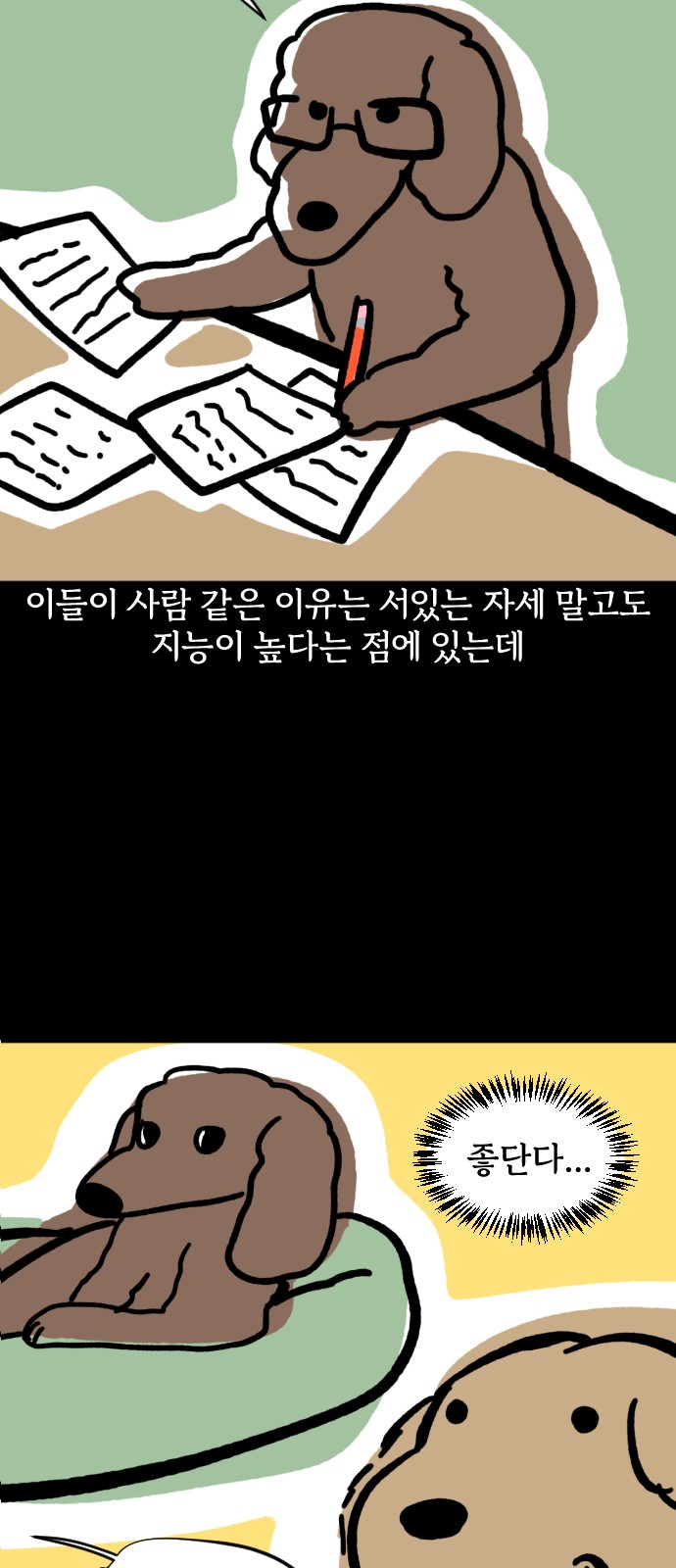 16 페이지