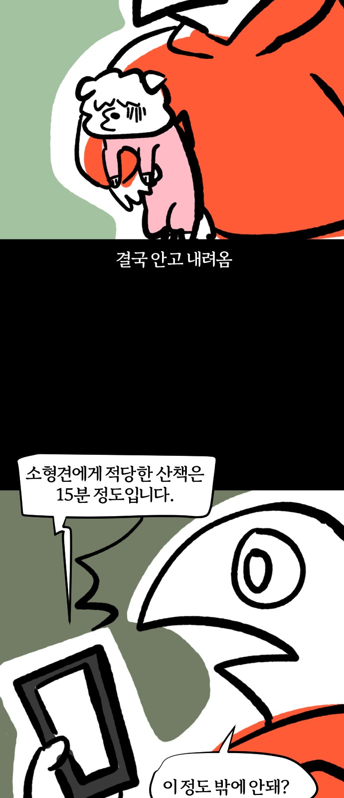 19 페이지