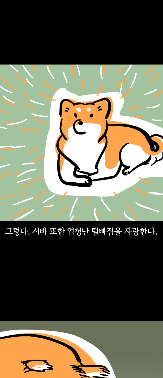 12 페이지