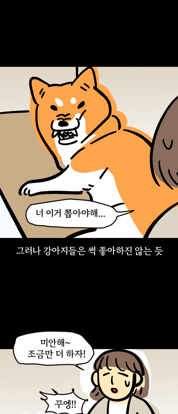 14 페이지