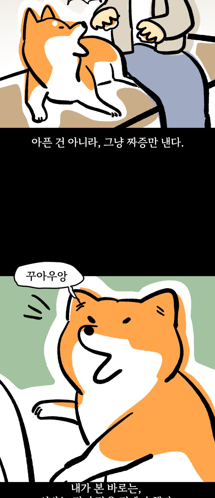 15 페이지