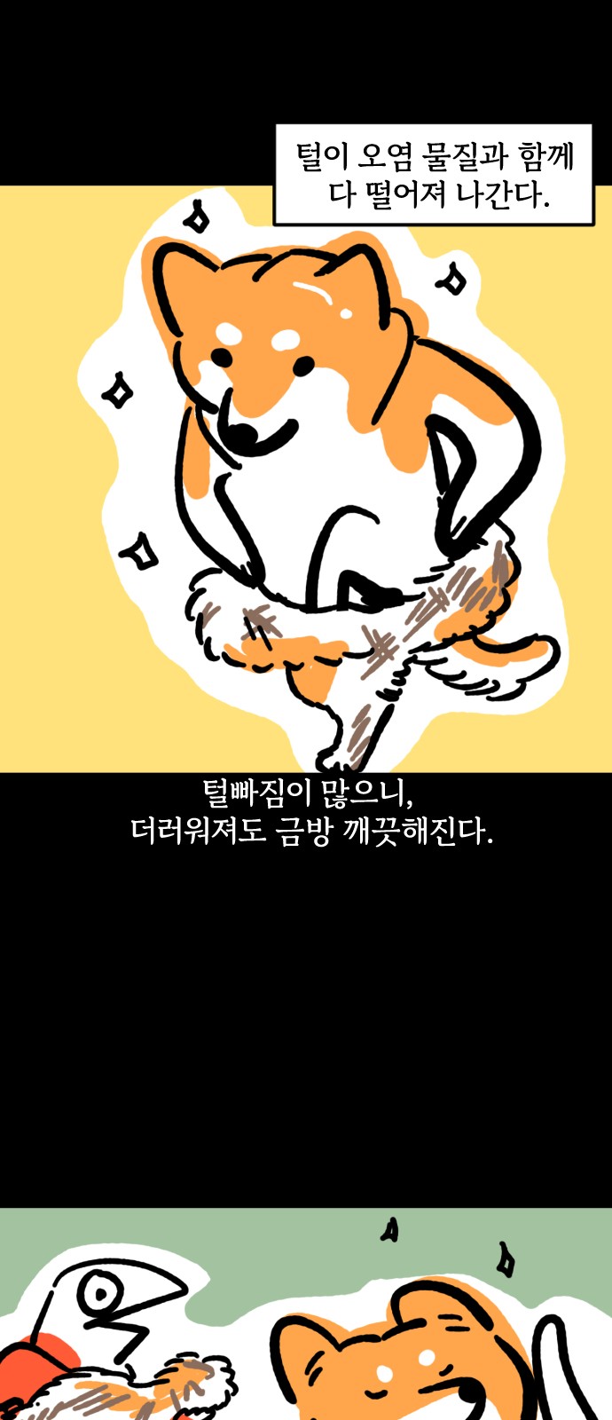 19 페이지