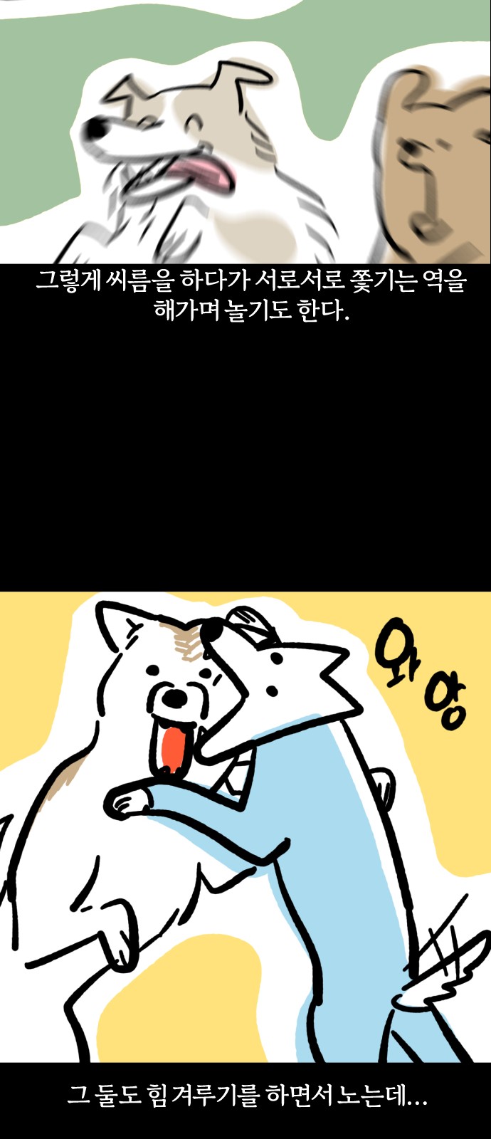 13 페이지