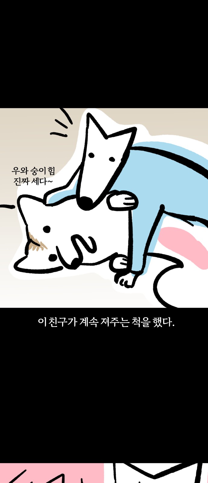 14 페이지