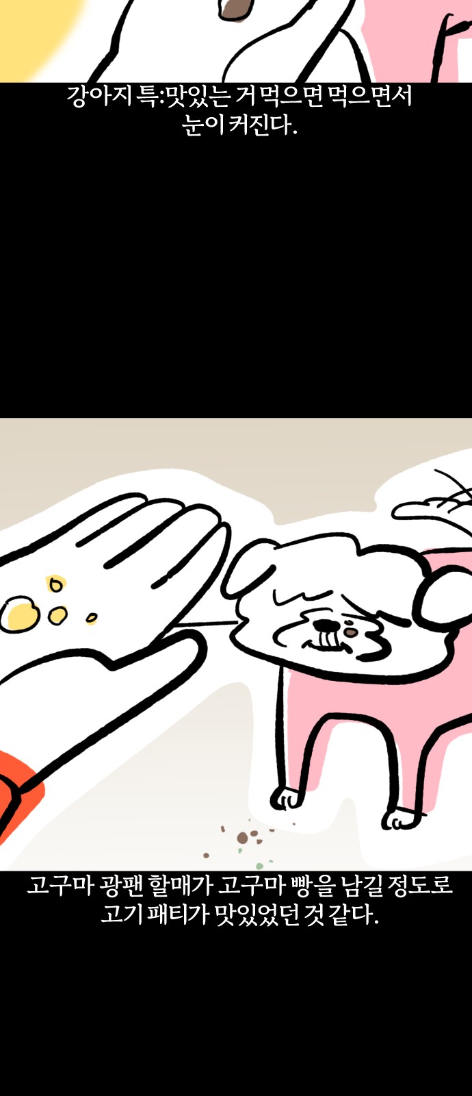 19 페이지