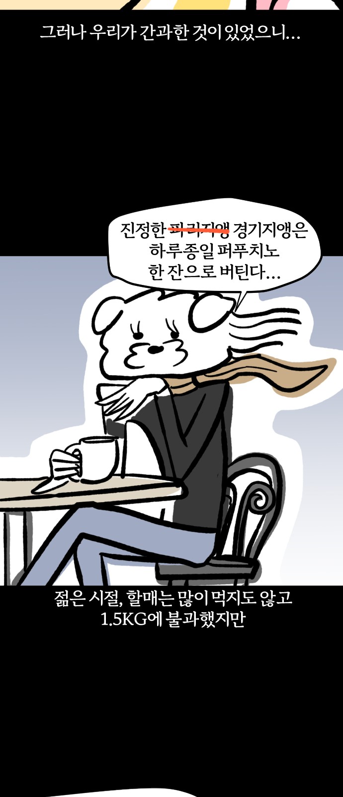 14 페이지