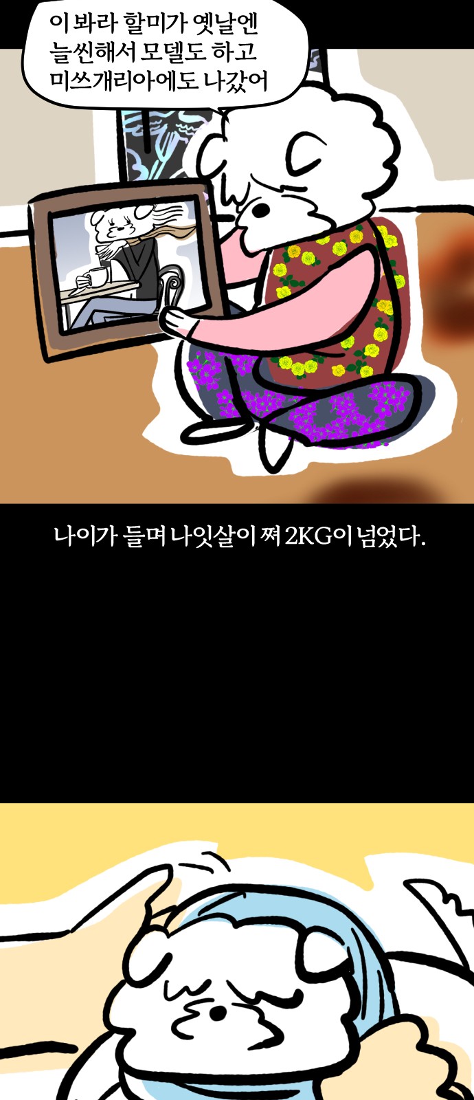 15 페이지