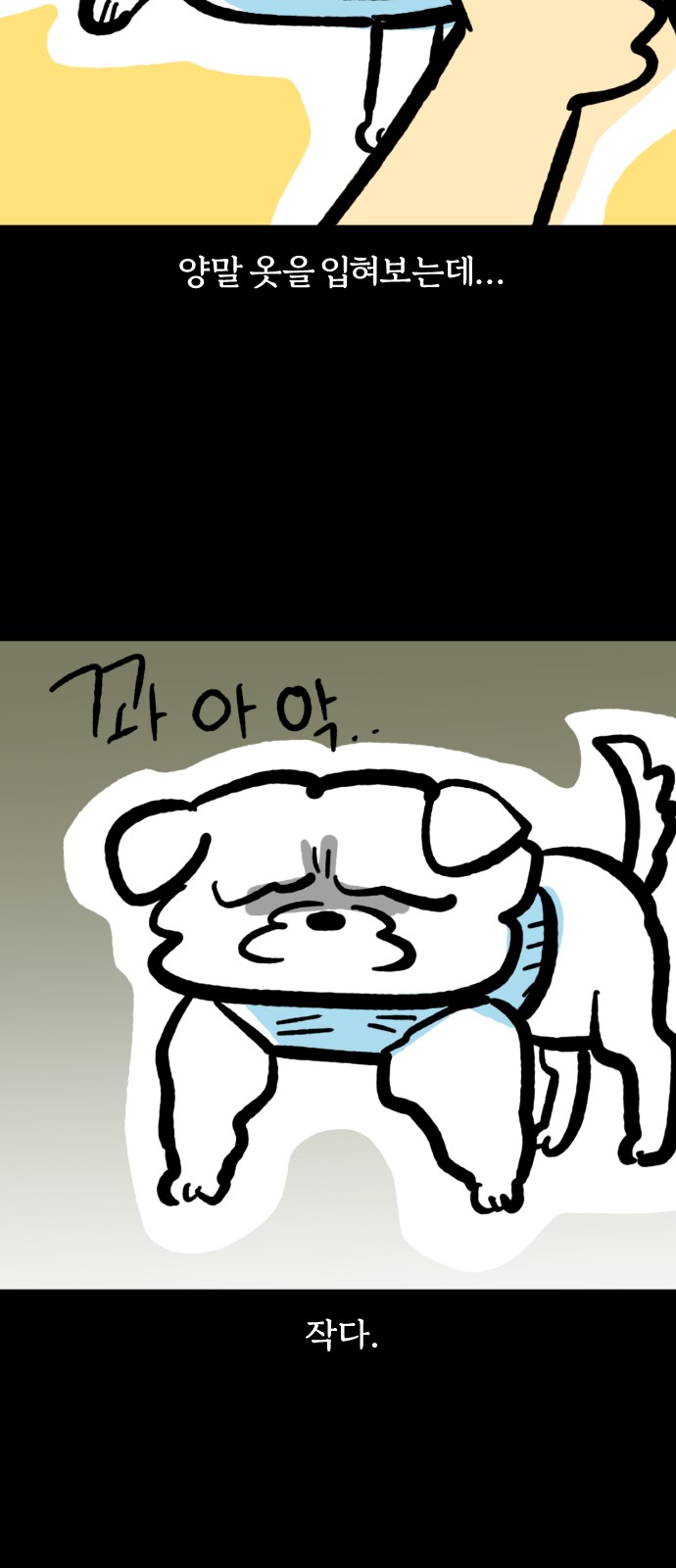 16 페이지