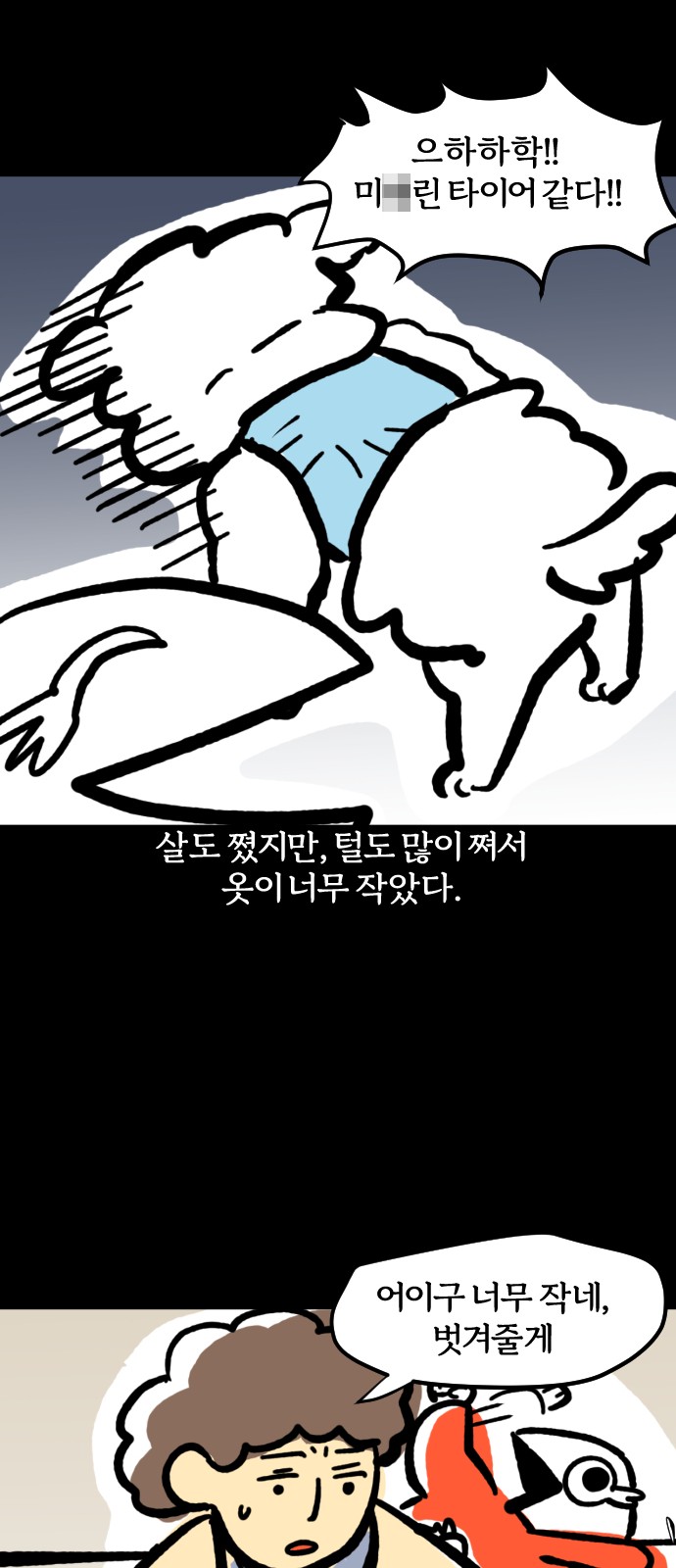 17 페이지