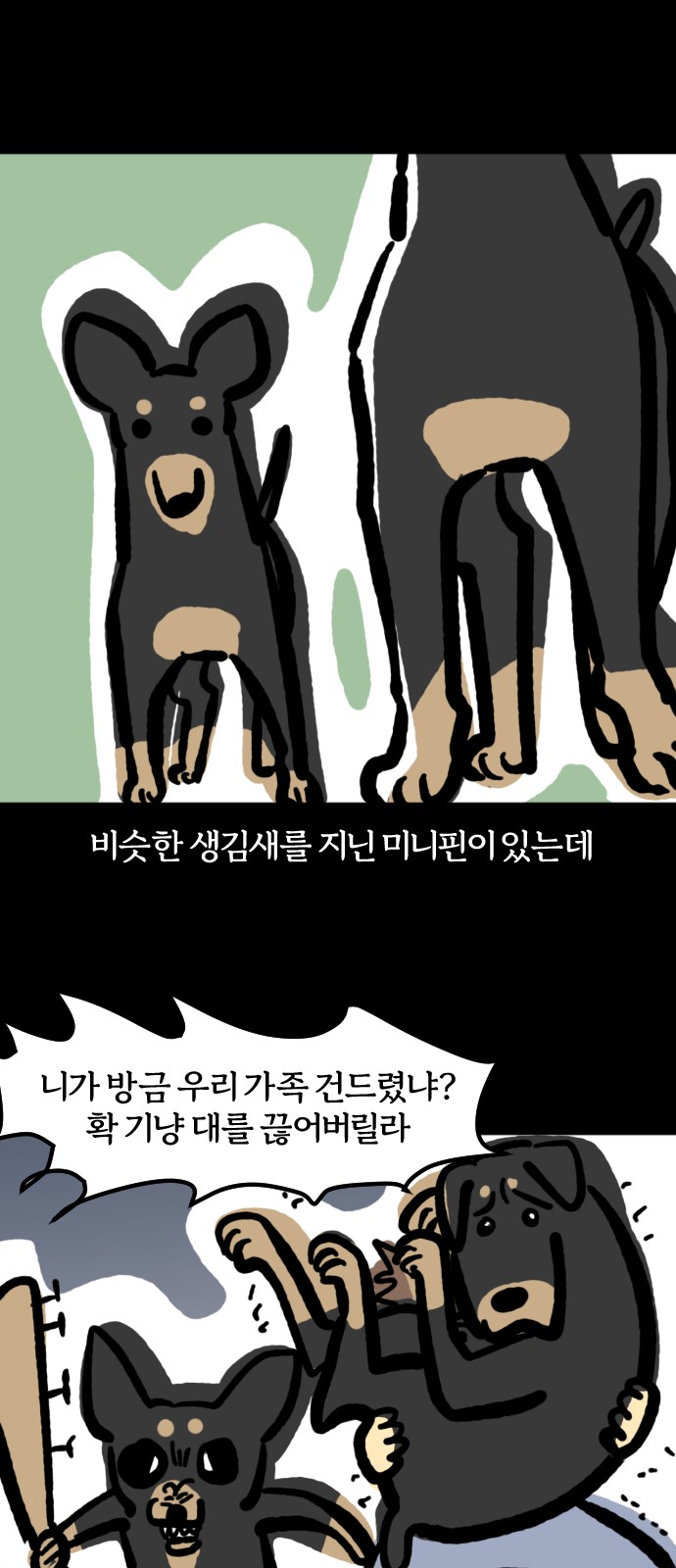13 페이지